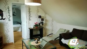alpha-combles-amenagement-jeapt3
