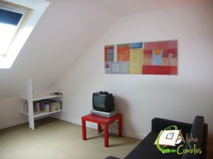 alpha-combles-amenagement-reapt5